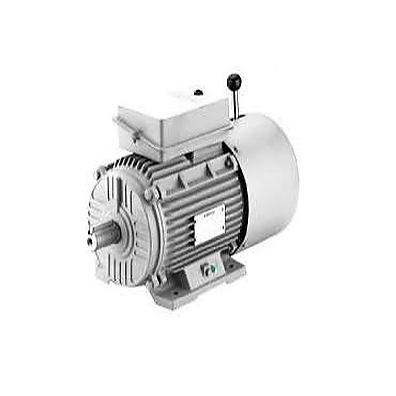 Brake & Crane Duty Motors