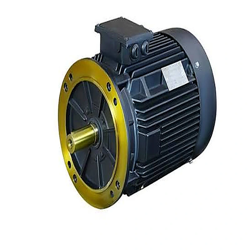IE3 Premium-Efficiency Motors